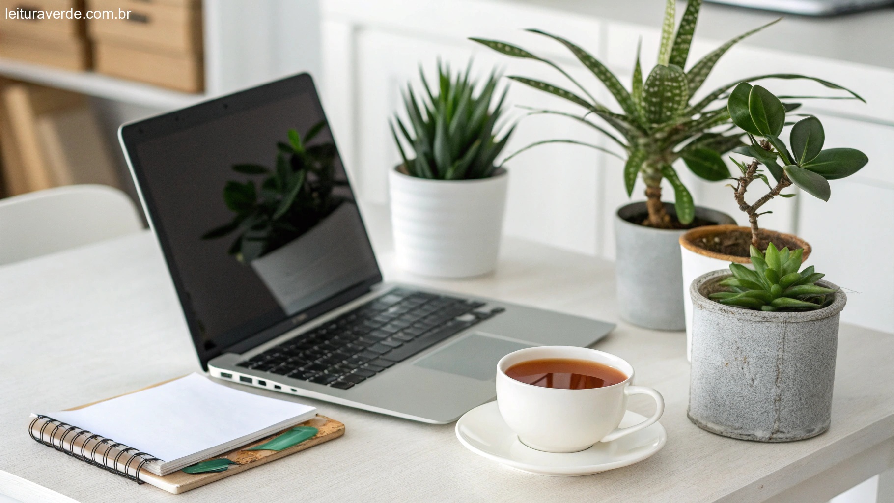 Um espaço de trabalho limpo e organizado com plantas, um laptop e uma xícara de chá, simbolizando transformação através da organização