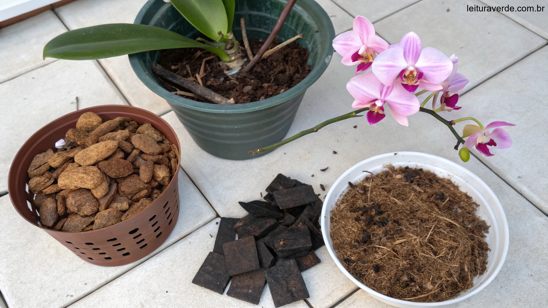 Materiais para plantio de orquídeas, como casca de pinus, carvão vegetal e fibra de coco.